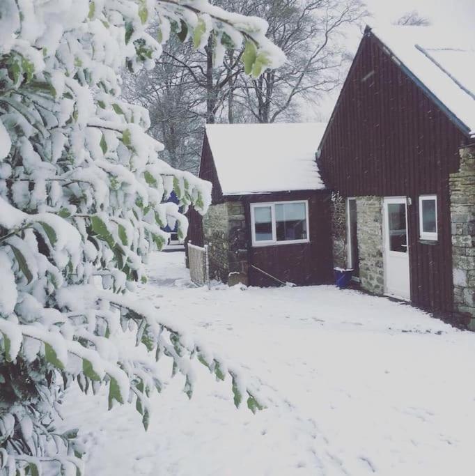 Y Boidy Bach Villa Llangranog Luaran gambar