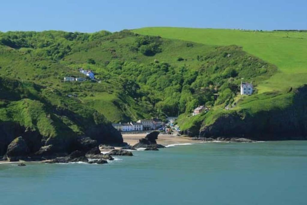 Y Boidy Bach Villa Llangranog Luaran gambar